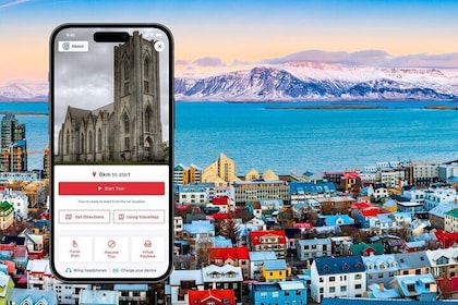 Principales lugares de interés y lugares escondidos de Reykjavik: una camin...