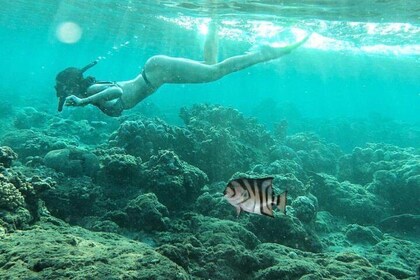 Amazing Bali Snorkelling At Blue Lagoon All-inclusive