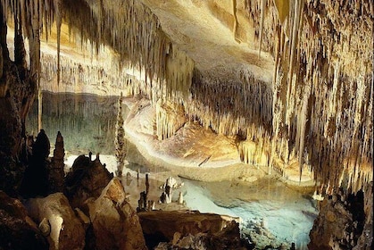 Drach Caves med Port Cristo og Pearl Shop Mallorca Full Day Tour