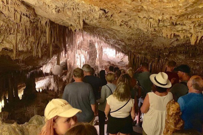 Full Day Tour to Caves of Drach and Hams with Porto Cristo and Pearl Factory