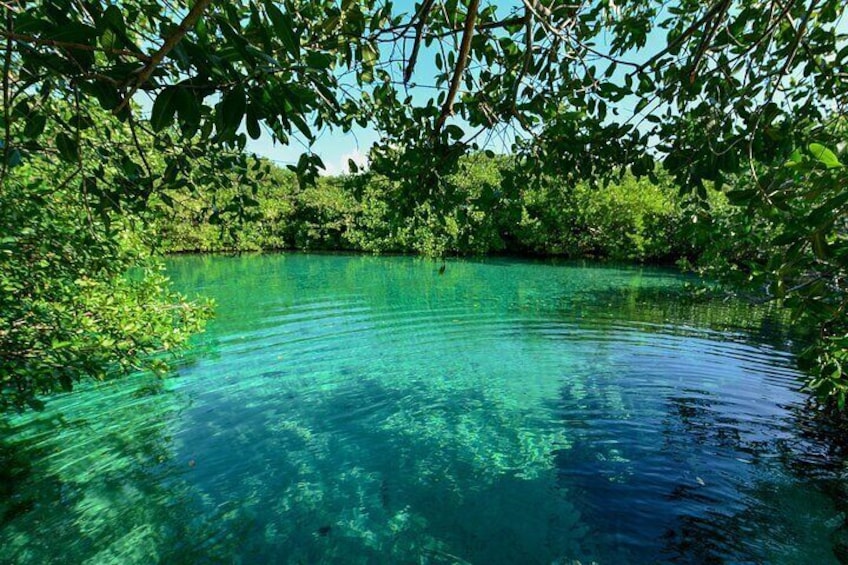 3 Cenote Dives - Casa & Dos Ojos