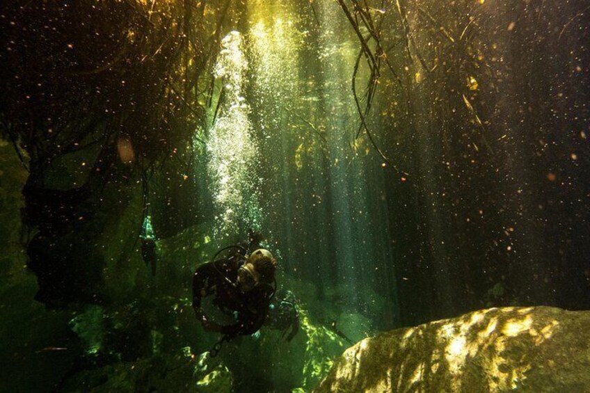 Casa Cenote
