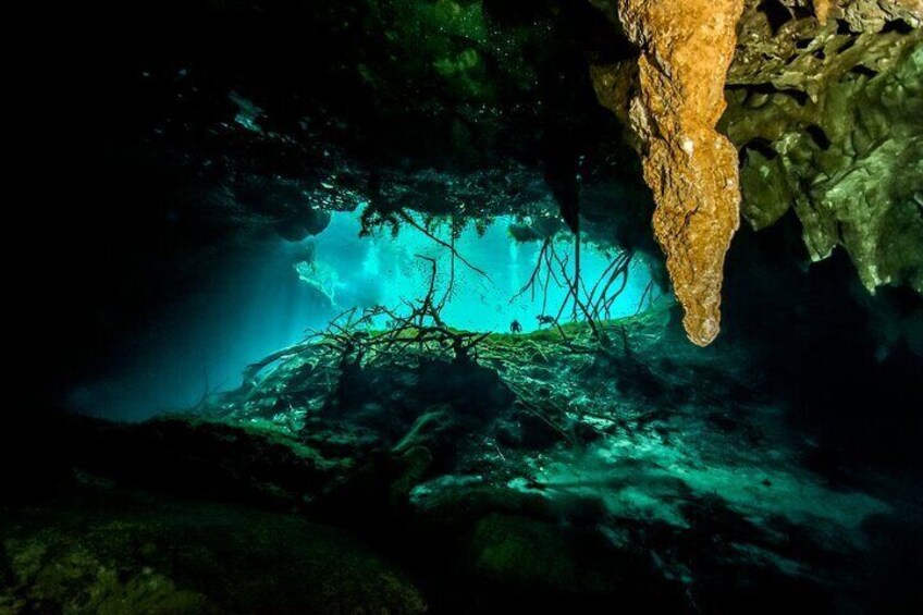 3 Cenote Dives - Casa & Dos Ojos
