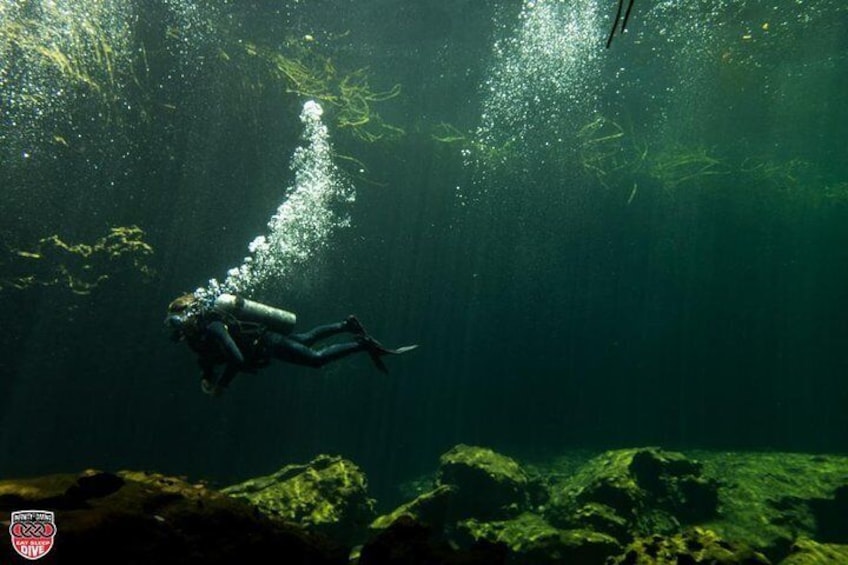 Diving in Casa Cenote