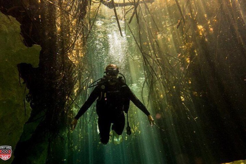 Discovery Scuba Diving Casa Cenote