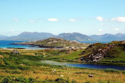 Walking Inishbofin Island 1 day self guided Connemara coast Wild Atlantic W...