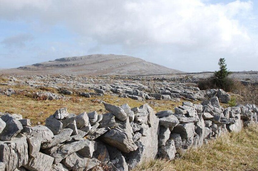 Walking in the unique Burren landscape & perfumery visit. Clare. Guided 4 hrs