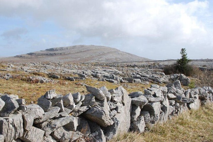 Walking in the unique Burren landscape & perfumery visit. Clare. Guided 4 hrs