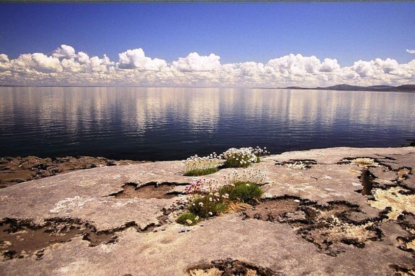 Stones & Stories Private Walk. Burren, Co Clare. Guided. 2 hours.