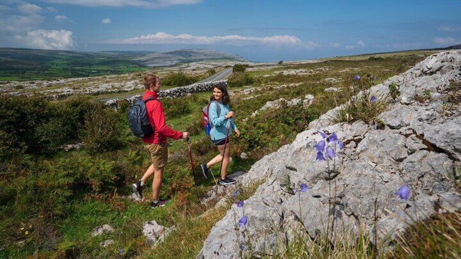 Spiritual walk in the Burren. Clare. Private guided. 4 hours.