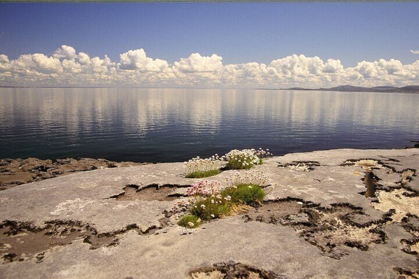 Spiritual walk in the Burren. Clare. Private guided. 4 hours.