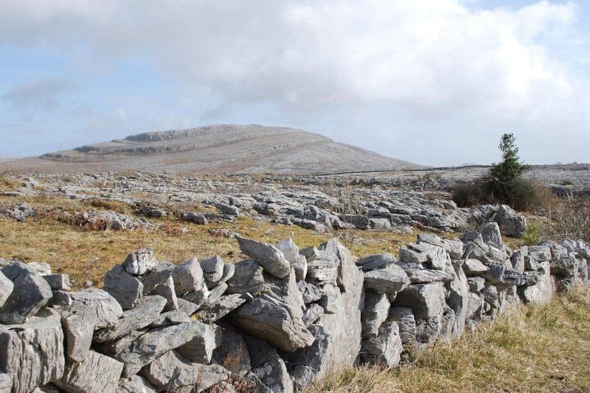 Mullaghmore Private Walk. The Burren, Co Clare. Guided. 2 hours.