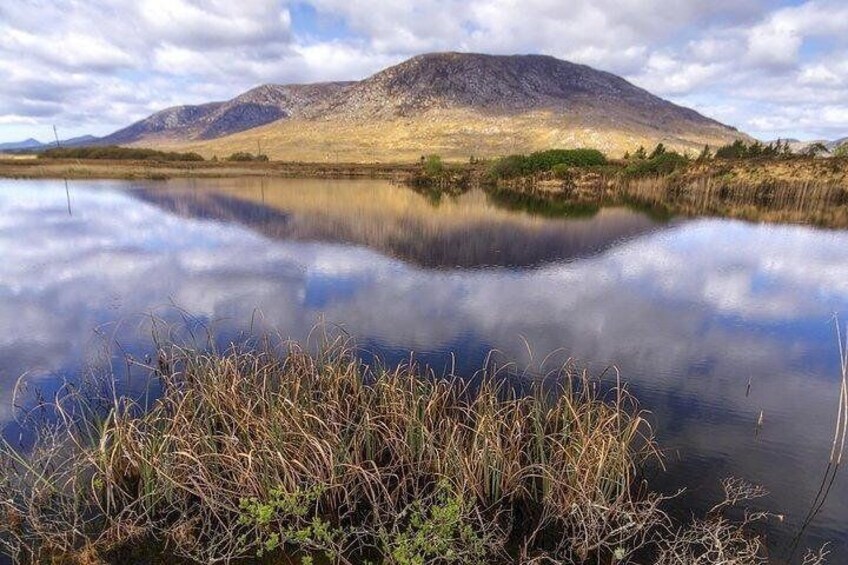 Wild Brown Trout fishing. Lough Corrib. French speaking Ghillie/Guide. Full day.