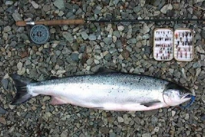 Atlantic Salmon & Sea Trout fishing.Connemara.English/French speaking Ghill...