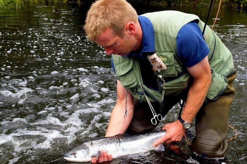 Atlantic Salmon & Sea Trout fishing.Connemara.English/French speaking Ghillie