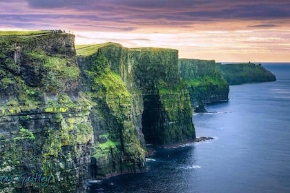 Aran Island, Cliffs of Moher & cruisetour vanuit Galway. Begeleid.