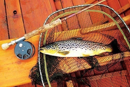 River fishing for wild trout. Connemara. French speaking Ghillie