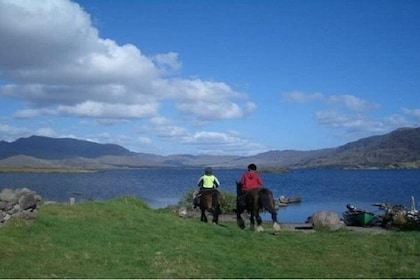 Killarney National Park Horseback Ride. Co Kerry. Guided. 2 hours.