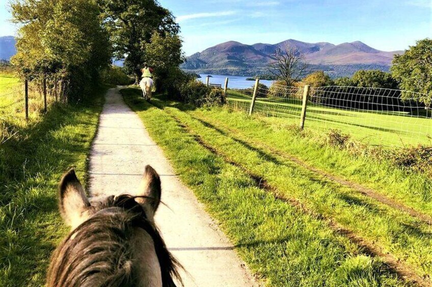 Killarney National Park Horseback Ride. Co Kerry. Guided. 3 hours.