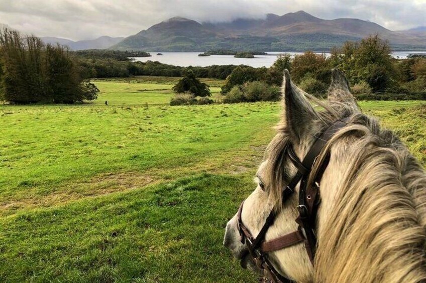 Killarney National Park Horseback Ride. Co Kerry. Guided. 1 hour.