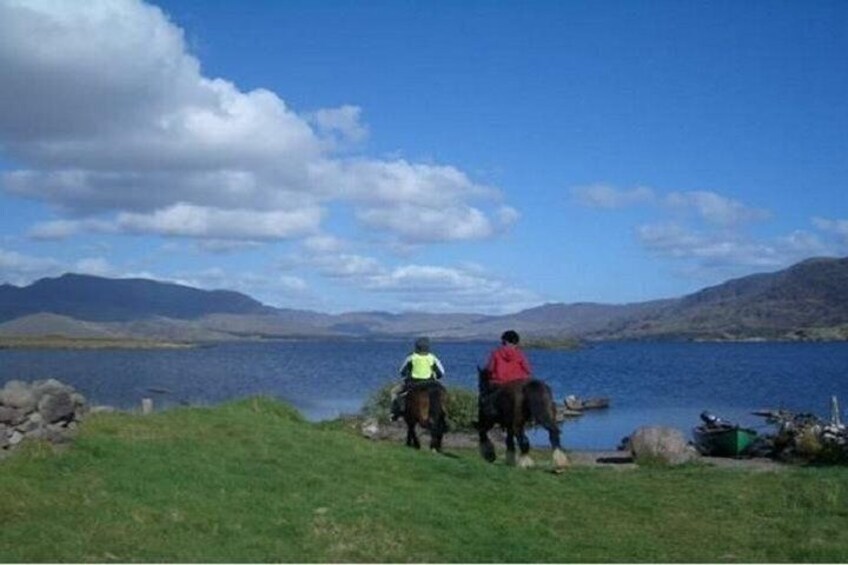 Killarney National Park Horseback Ride. Co Kerry. Guided. 1 hour.