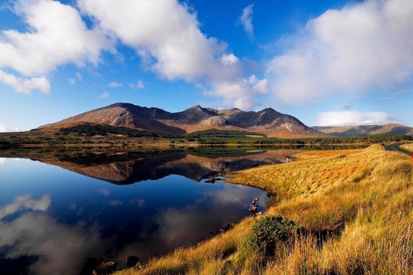 Wild Red Deer Viewing Safari, Connemara. Guided 3hrs