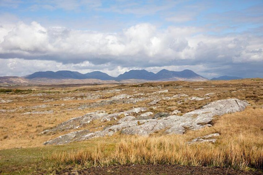 Wild Red Deer Viewing Safari, Connemara. Guided 3hrs