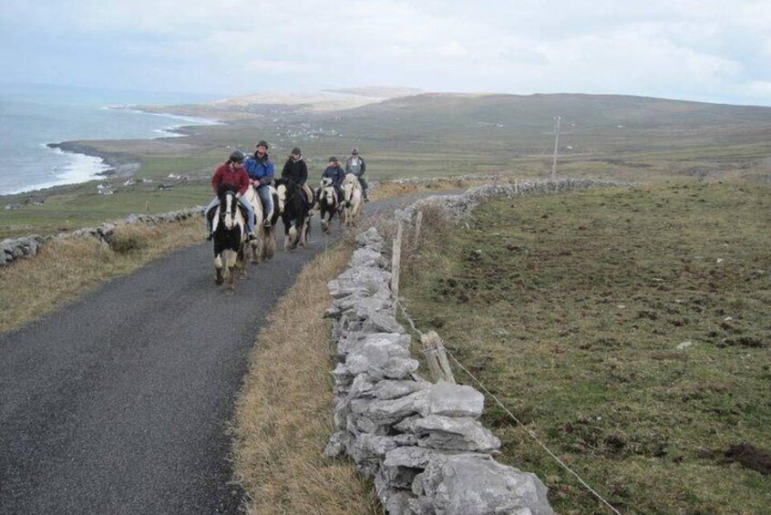 Horse riding - Burren Trail. Lisdoonvarna, Co Clare. Guided. 3 hours.