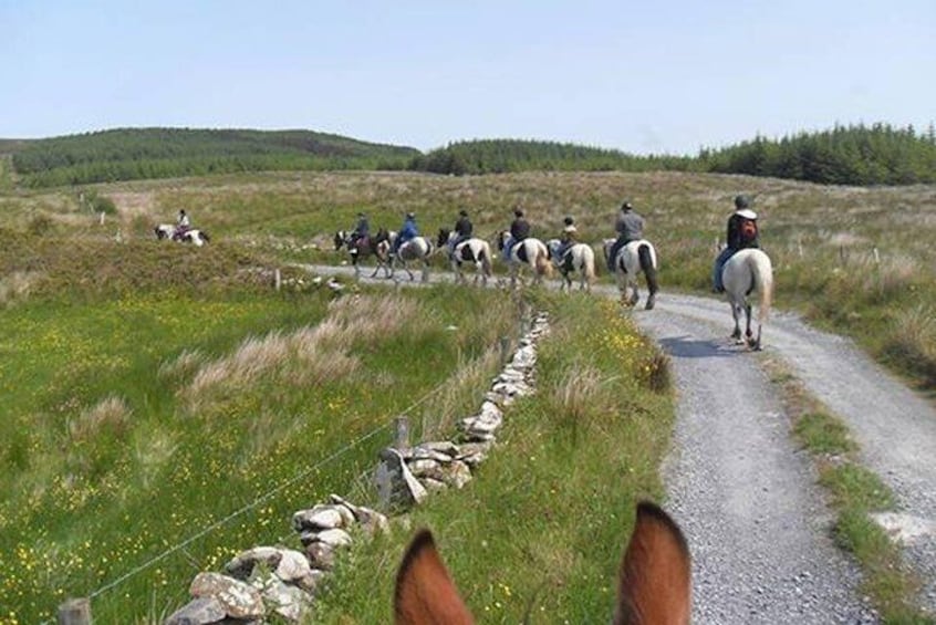 Horse riding - Burren Trail. Lisdoonvarna, Co Clare. Guided. 3 or 4 hour options