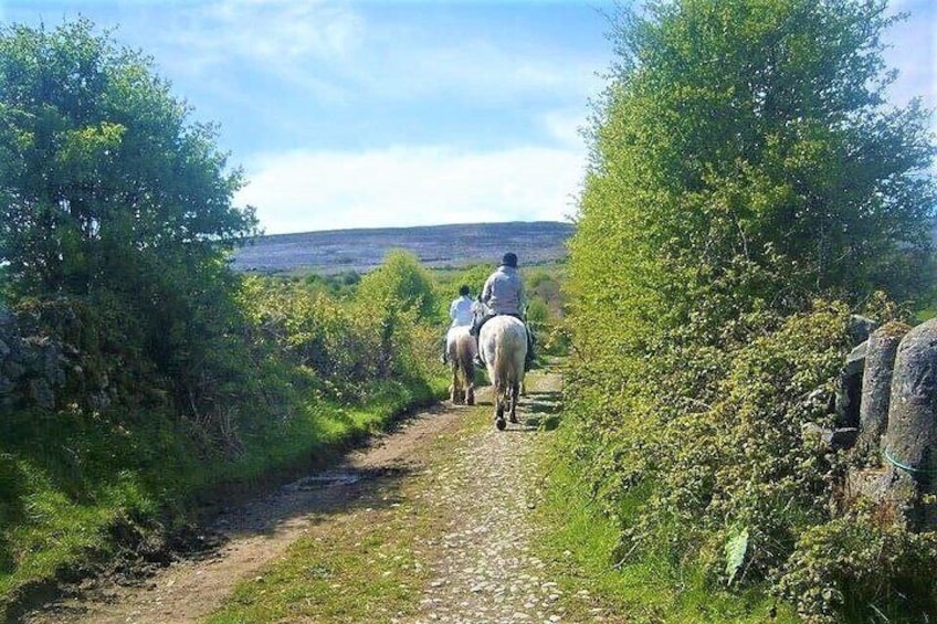 Horse riding - Dirt Trek Trail. Lisdoonvarna, Clare. Guided. 1 hour.