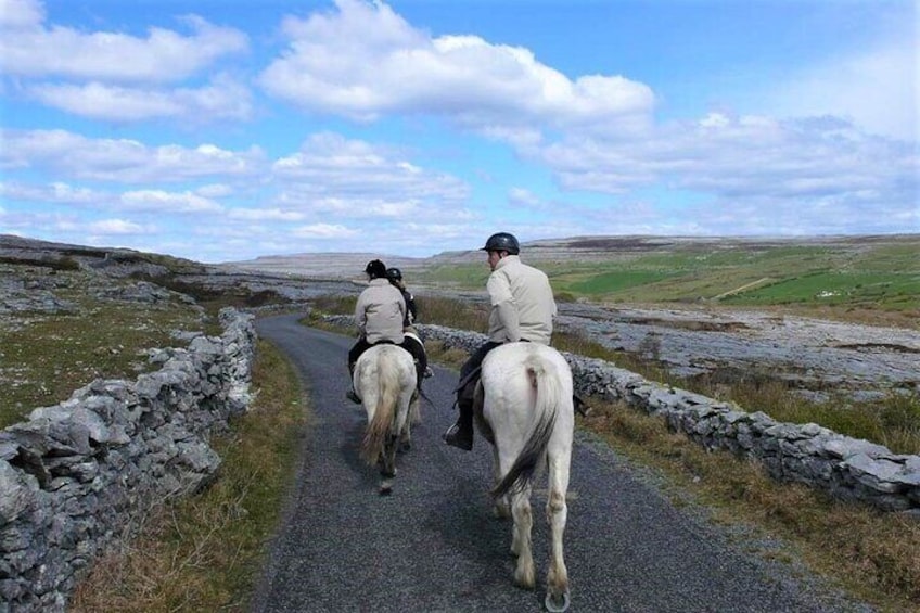 Horse riding - Dirt Trek Trail. Lisdoonvarna, Clare. Guided. 1 hour.