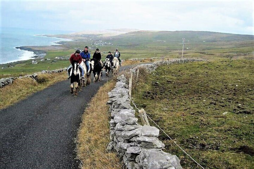 Horse riding - Dirt Trek Trail. Lisdoonvarna, Clare. Guided. 1 hour.