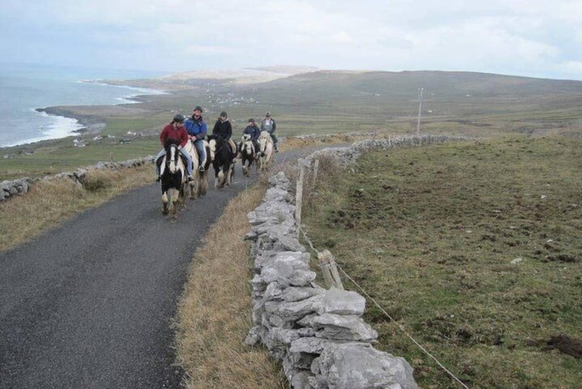 Horse riding - Mountain Trail. Lisdoonvarna, Co Clare. Guided. 2 hours.