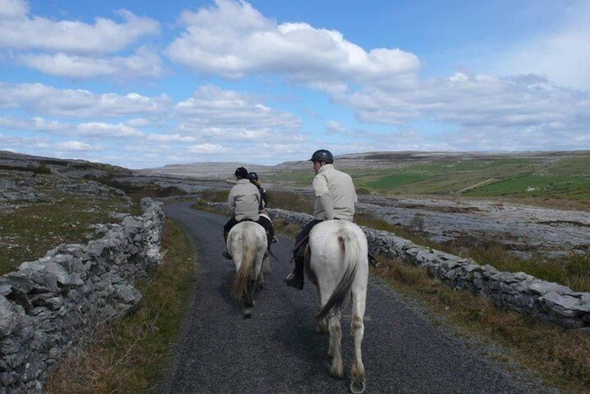 Horse riding - Mountain Trail. Lisdoonvarna, Co Clare. Guided. 2 hours.