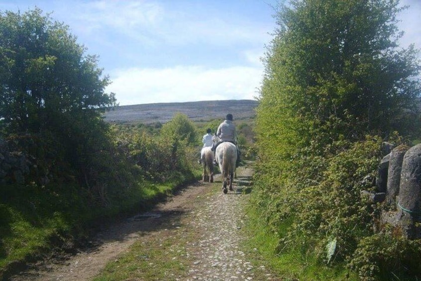 Horse riding - Mountain Trail. Lisdoonvarna, Co Clare. Guided. 2 hours.