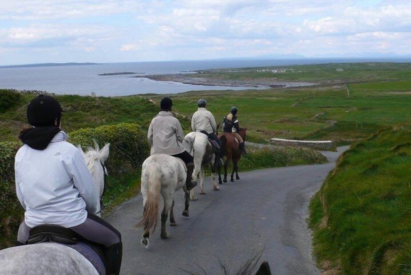 Horse riding - Mountain Trail. Lisdoonvarna, Co Clare. Guided. 2 hours.