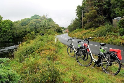 Shore Excursion: Self-Guided Wild Atlantic Way E-Biking Tour from Clifden