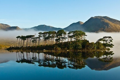 Full-day Connemara, Kylemore Abbey and Wild Atlantic Way Tour from Galway