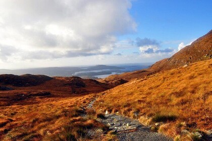 Connemara National Park Nature Trails self-guided including Lunch