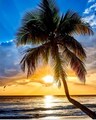 Host profile image