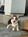 Host profile image