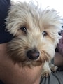 Host profile image