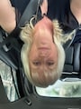 Host profile image