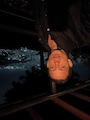 Host profile image
