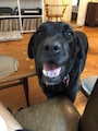 Host profile image