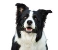 Host profile image