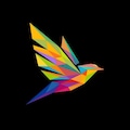 Host profile image