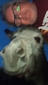 Host profile image
