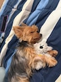 オーナーのプロフィール画像