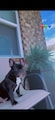 Host profile image